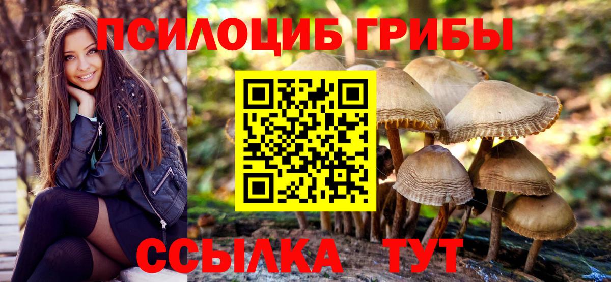 Псилоцибиновые грибы GOLDEN TEACHER  Вход с VPN  купить наркоту  Богородицк 